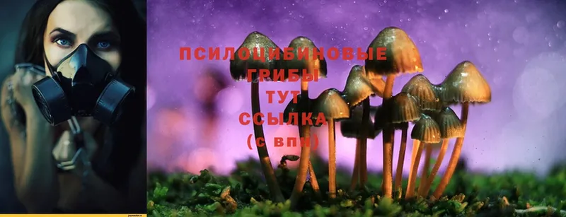 что такое наркотик  Лосино-Петровский  omg ссылка  Галлюциногенные грибы Cubensis 